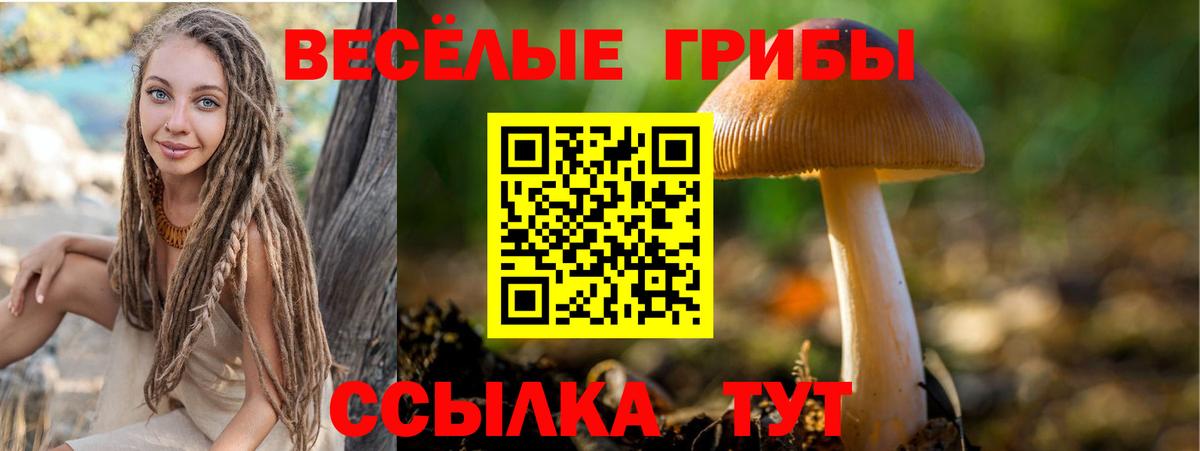Галлюциногенные грибы прущие грибы  Вход с VPN  Нерюнгри  Галлюциногенные грибы GOLDEN TEACHER 